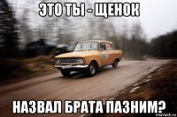 это ты - щенок назвал брата пазним?