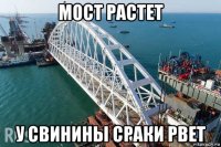 мост растет у свинины сраки рвет
