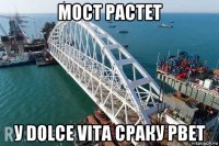 мост растет у dolce vita сраку рвет