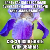 блять как вы све заебали суки блять пошли све нахуй суки эбаные блять све здохли блять суки эбаные