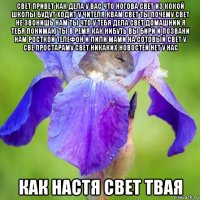 свет привет как дела у вас что ногова свет из кокой школы будут ходит у чителя квам свет ты почему свет не звонишь нам ты что у тебя дела свет домашнии я тебя понимаю ты в ремя как нибуть вы бири и позвани нам росткой телефон и лили мами на сотовый свет у све простараму свет никаких новостей нет у нас как настя свет твая