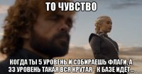 то чувство когда ты 5 уровень и собираешь флаги, а 33 уровень такая вся крутая - к базе идёт...
