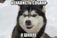 ненависть собаки к школе