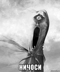  ничоси