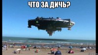 что за дичь? 