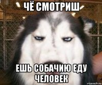 чё смотриш ешь собачию еду человек