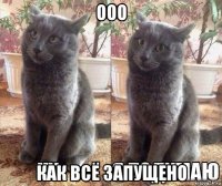 ооо как всё запущено