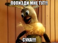 попизди мне тут!! сука!!!