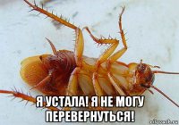  я устала! я не могу перевернуться!