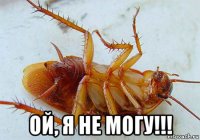  ой, я не могу!!!