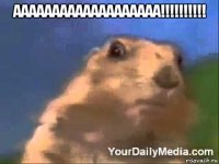 ааааааааааааааааааа!!!!!!!!!! 