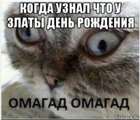 когда узнал что у златы день рождения 