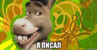  я писал
