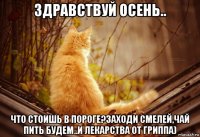 здравствуй осень.. что стоишь в пороге?заходи смелей,чай пить будем..и лекарства от гриппа)