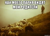 как моего парня видят мои родители 