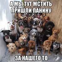 а мы тут мстить пришли панину за нашего то