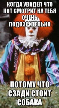 когда увидел что кот смотрит на тебя очень подозрительно потому что сзади стоит собака