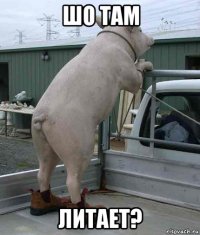 шо там литает?