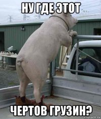 ну где этот чертов грузин?