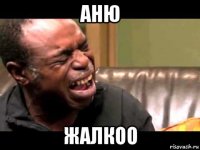 аню жалкоо