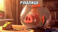 рукалицо 