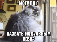 могу ли я назвать модульным себя?