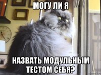 могу ли я назвать модульным тестом себя?