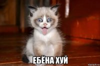  ебёна хуй