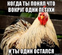 когда ты понял что вокруг одни петухи и ты один остался
