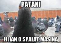 patani lilian o spalat masina