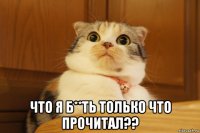 что я б**ть только что прочитал??