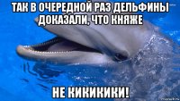 так в очередной раз дельфины доказали, что княже не кикикики!