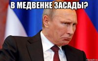 в медвенке засады? 