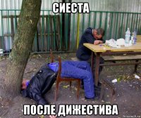 сиеста после дижестива