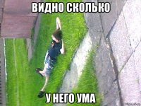видно сколько у него ума