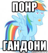 понр гандони