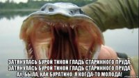  затянулась бурой тиной гладь старинного пруда. затянулась бурой тиной гладь старинного пруда. ах, была, как буратино, я когда-то молода!