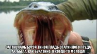  затянулась бурой тиной гладь старинного пруда. ах, была, как буратино, я когда-то молода!