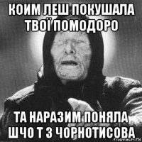 коим леш покушала твої помодоро та наразим поняла шчо т з чорнотисова