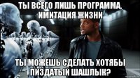 ты всего лишь программа, имитация жизни ты можешь сделать хотябы пиздатый шашлык?