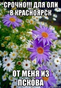 срочно!!! для оли в красноярск от меня из пскова
