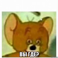  вы где?