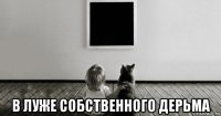  в луже собственного дерьма