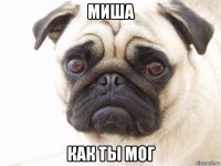 миша как ты мог