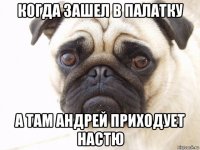 когда зашел в палатку а там андрей приходует настю