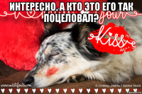 интересно, а кто это его так поцеловал? 