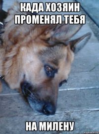 када хозяин променял тебя на милену