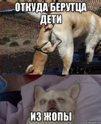 откуда берутца дети из жопы