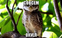 совсем охуел