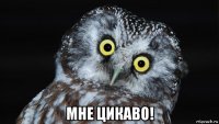  мне цикаво!